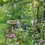 Oda ve Kahvaltı Thorpe House Vegetarian