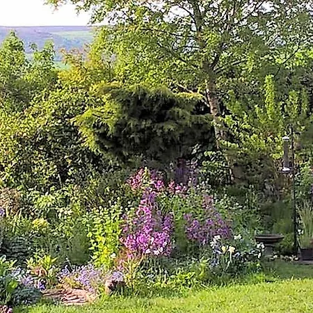 Thorpe House Vegetarian 3*