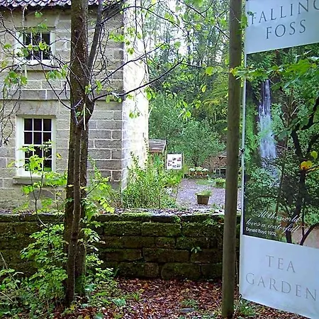 Thorpe House Vegetarian Bed & Breakfast