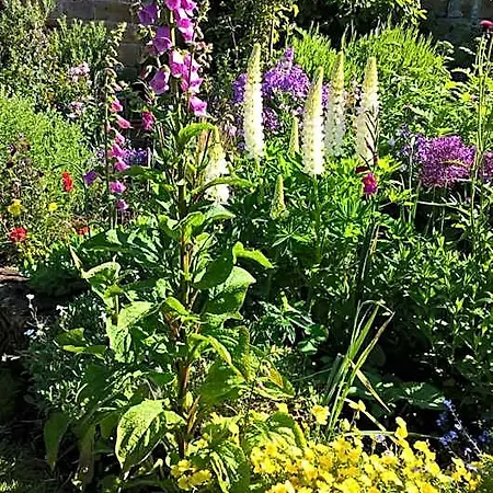 Thorpe House Vegetarian 3* Robin Hood's Bay