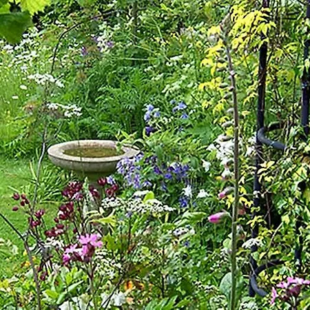 Bed & Breakfast Thorpe House Vegetarian 3*