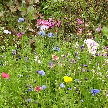 Thorpe House Vegetarian 로빈후즈베이