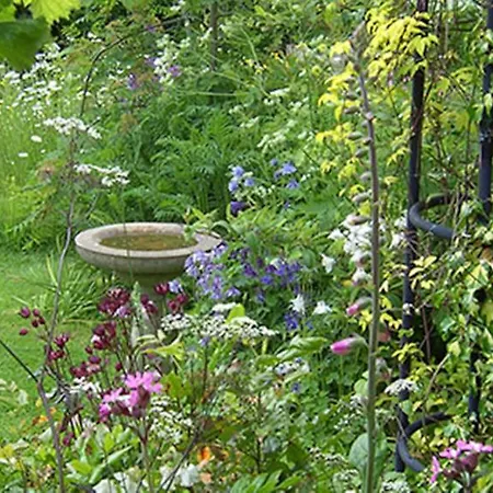 Bed & Breakfast Thorpe House Vegetarian