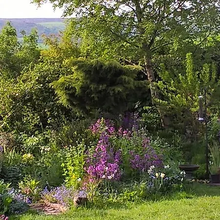 Oda ve Kahvaltı Thorpe House Vegetarian 3*