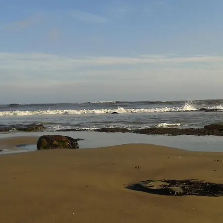 B&B Thorpe House Vegetarian 3*