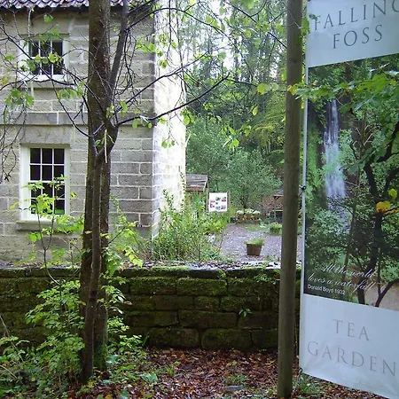 Thorpe House Vegetarian 3* Robin Hood's Bay