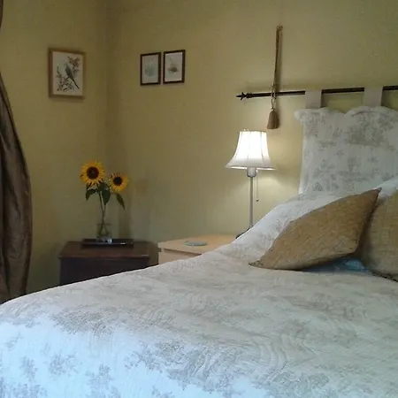 Thorpe House Vegetarian Bed & Breakfast Robin Hood's Bay