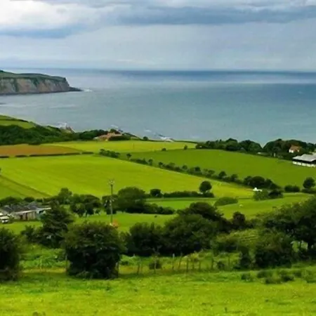 Bed & Breakfast Thorpe House Vegetarian Robin Hood's Bay